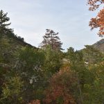 Sécheresse - massifs Concors Sainte-Victoire