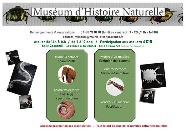 Ateliers pédagogiques -Automne 2022 - muséum d'histoire naturelle - Aix-en-Provence
