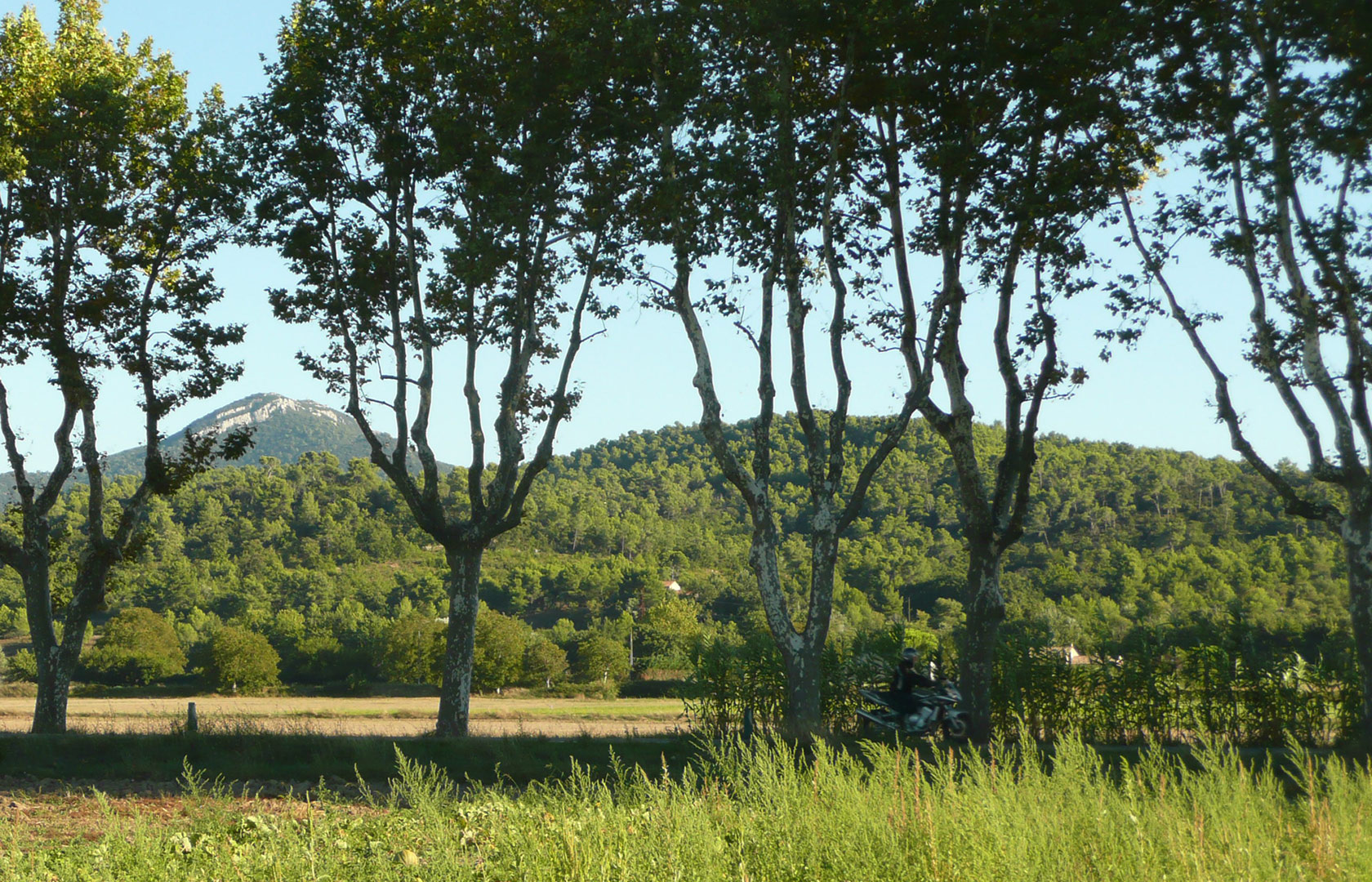 Concors-vu-depuis-la-N96 - Peyrolles-en-Provence