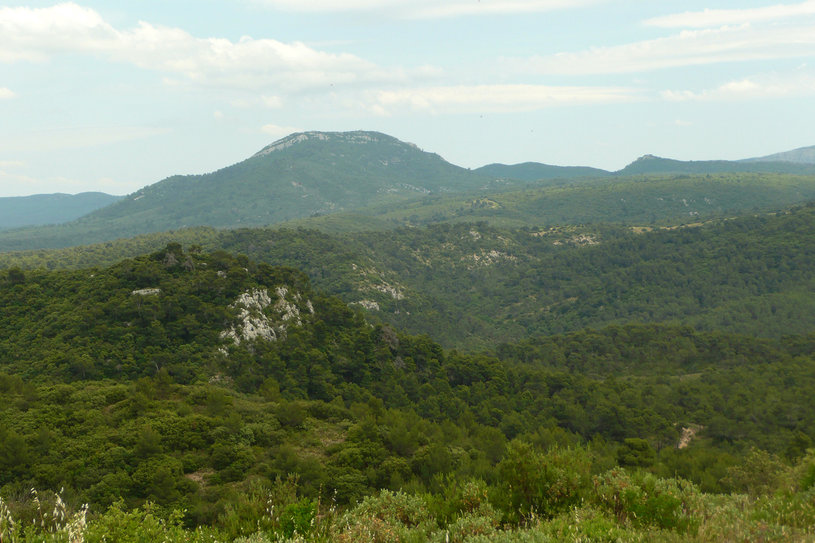 Concors vu depuis la vigie de Marinas Meyrargues.jpg