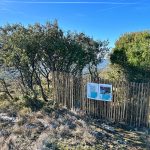 mise-en-defens-sentier-marinas-meyrargues