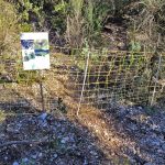 Ferrmeture provisoire du sentier vert de Bramefan