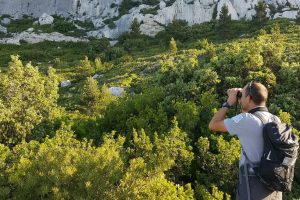 Garde nature en patrouille surveillance