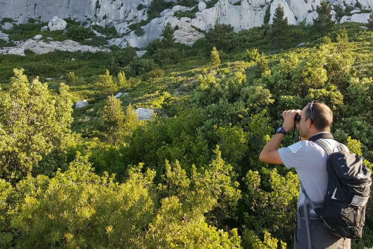 Garde nature en patrouille surveillance