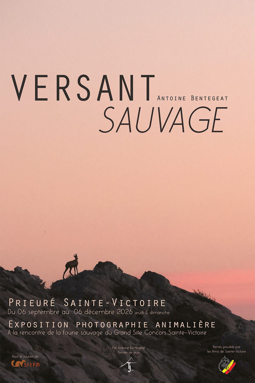 exposition Versant Sauvage