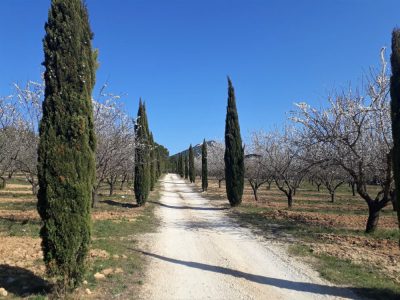 Domaine Villemus - Jouques - © Pauline Seguin