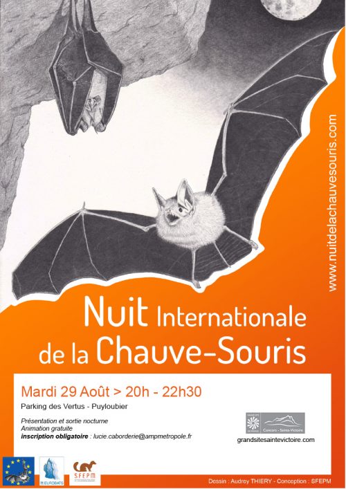 AFF-CHAUVE-SOURIS