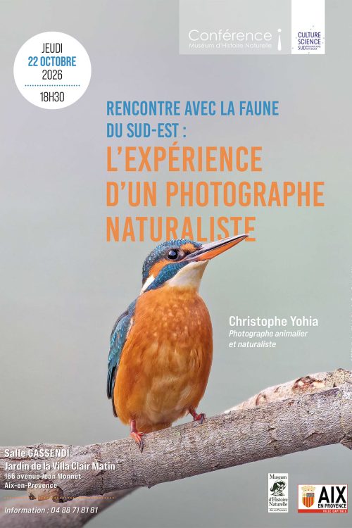 Affiche-Museum-Conference_1026