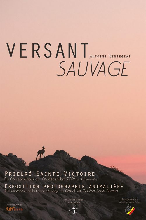 exposition Versant Sauvage