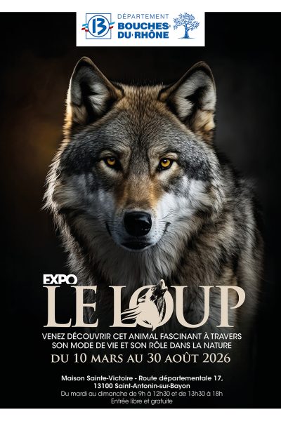 Affiche_Expo_LOUP-60x80_02