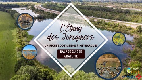 Etang de Jonquiers-Meyrargues