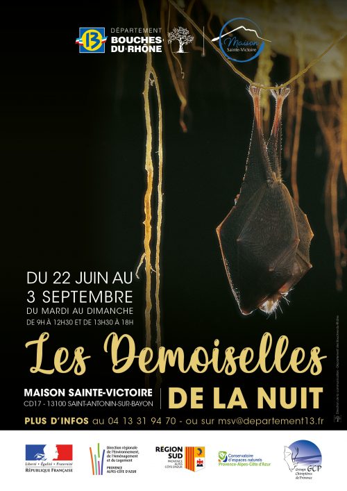 Les demoiselles de la nuit - Maison Sainte Victoire - 22 juin au 3 septembre 2023