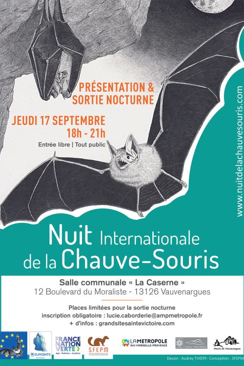 Nuit-de-la-chauve-souris-Vauvenargues-2026