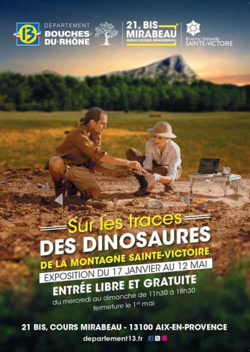 Sur les traces des dinosaures-CD13