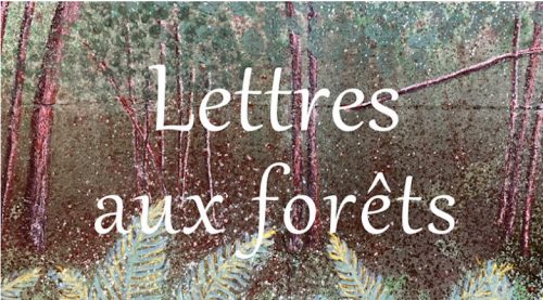 Zou - Lettre aux forêts