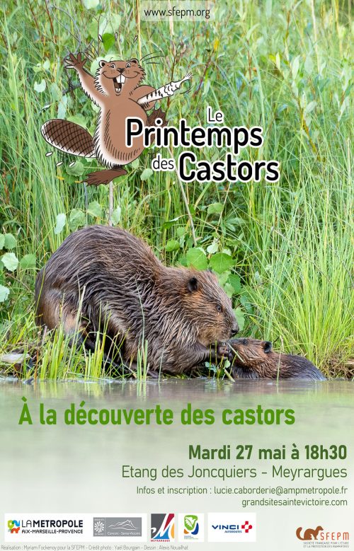 affiche-castors affiche-castors
