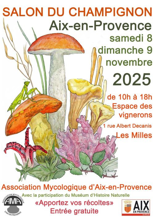 affiche_champignon_2025