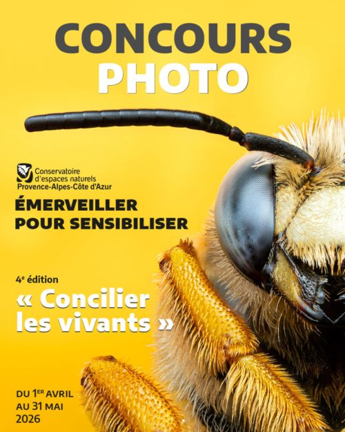 concours photo CEN PACA 2026