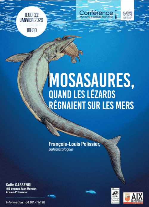 conf_museum_mosasaures