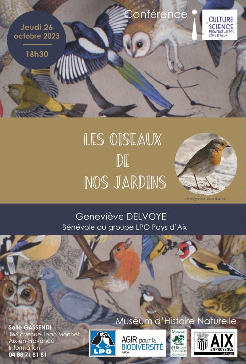 conférence : les oiseaux de nos jardins