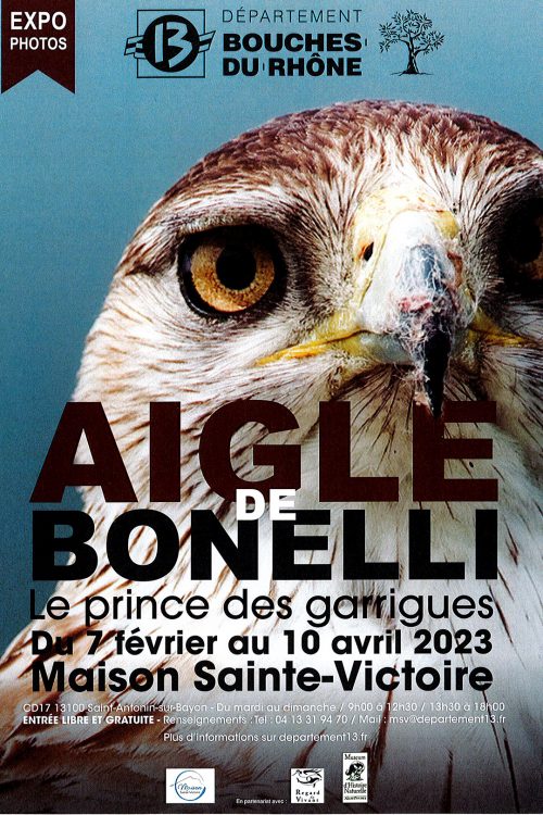 expo-photos-aigle-de-bonelli-CD13 expo-photos-aigle-de-bonelli-CD13