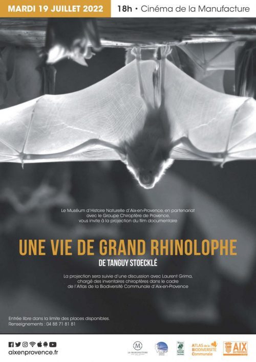 museum_affiche_chauvesouris_a3_web