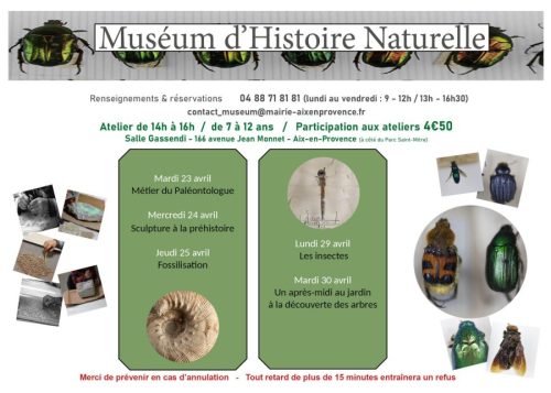 museum avril 2024