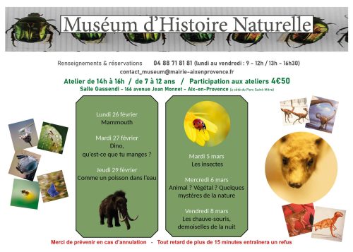 museum_fevrier_2024